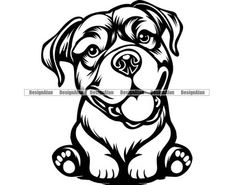 Cane Corso Cane seduto Sorridente Cucciolo Faccia Testa Razza animale accattonaggio Rottweiler Pitbull Mastiff Great Dane Art Logo Tattoo Design SVG PNG Taglio