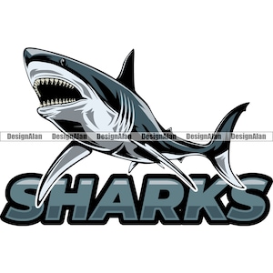 Hai Schule Maskottchen Sport Team Cartoon Knurren Wütend Weißer Raubtier Ozean Vektor Logo Kunst Text Farbe Design Element JPG PNG SVG Cut