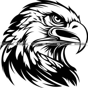 American Bald Eagle School Mascota Equipo deportivo Liga Fantasía Personaje de dibujos animados Significa cabeza de pájaro Arte vectorial Logotipo Elemento de diseño JPG PNG SVG Corte