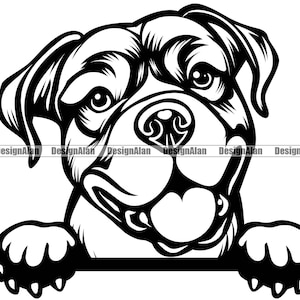 Cane Corso Peeking Dog Smiling Puppy Face Head Pet Breed Canine Pup Rottweiler Pitbull Mastiff Great Dane Art Logo Tattoo Design SVG PNG Cut