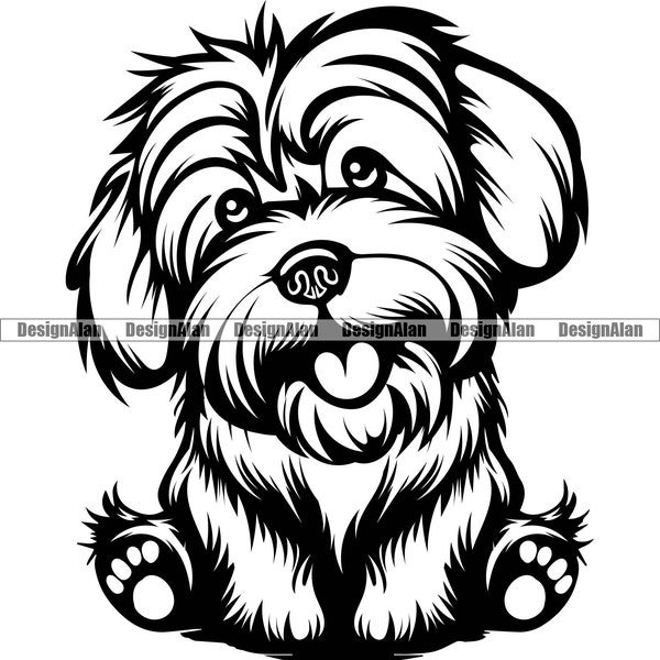 Lowchen Sitting Dog Smiling Puppy Face Pet Breed Pedigree Begging Pup Havanese Shih Tzu Lhasa Apso Drawing Art Logo Tattoo Design SVG PNG