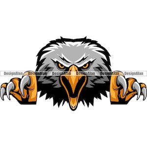 Peut inclure: Un aigle chauve féroce avec des serres acérées et une expression menaçante. La tête et les serres de l'aigle dépassent d'un fond blanc.