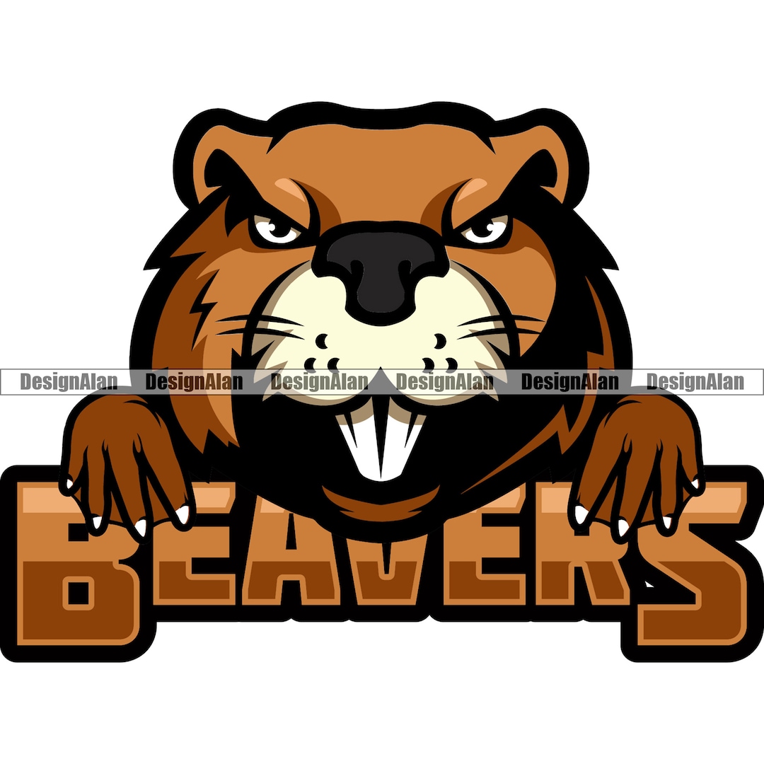 Beaver School Mascot Sports Team Cartoon Character Peeking Head Nature ...