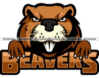 Beaver School Mascot Sports Team Cartoon Character Peeking Head Nature Wild Animal Vector Logo Art Text Color Design Element JPG PNG SVG Cut