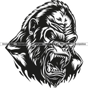 Könnte beinhalten: Schwarzweiß-Illustration eines Gorillakopfes mit einem wütenden Ausdruck. Der Gorilla hat den Mund offen und zeigt seine Zähne. Die Illustration ist im Vintage-Stil gehalten.