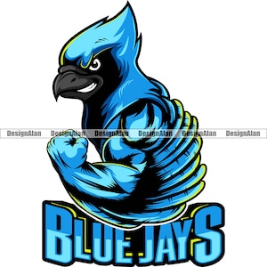May include: A stylized illustration of a muscular blue jay bird with a black beak and a smiling expression. The bird is flexing its arm, and the text "BLUE JAYS" is displayed in a blue and yellow font.