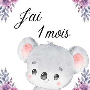 Carte étape Mois par Mois thème Bohème Violette