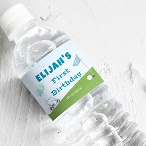 Hole In One Golf Party, Water Bottle Labels, Let&#39;s Par-Tee, 1st Birthday Water Bottle Label, Mastered First Year, Instant Download, GLF01