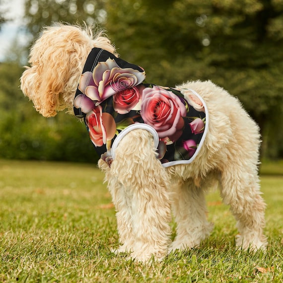 Off white cheap dog hoodie