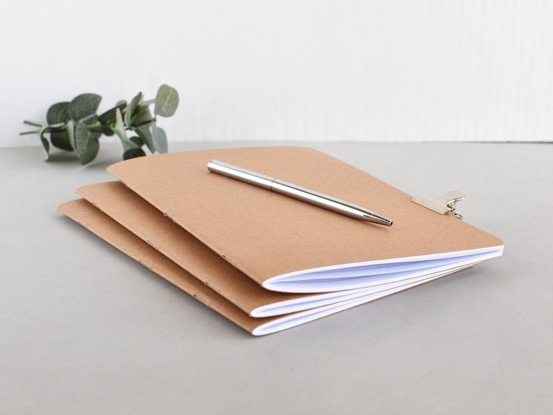 May include: A stack of three notebooks with plain light brown covers and white pages. A silver metal pen rests diagonally across the top notebook. A small silver metal clip is attached to the right edge of the top notebook cover.