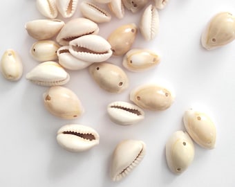 May include: A collection of off-white cowrie shells, some with a slight beige hue, arranged on a white surface. The shells are smooth and oval-shaped with a small hole at one end.