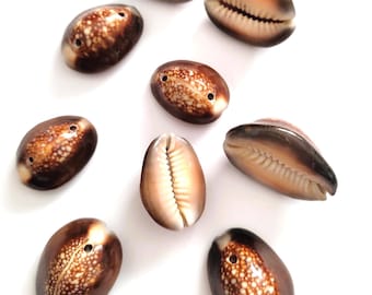 Kaurischelp, cypraea annulus, bruine kaurischelpen, beste kwaliteit natuurlijke schelp los met twee gaten, doe-het-zelf sieraden maken