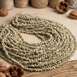 Hilo de cuentas de conchas marinas pequeñas, decoración para bodas en la playa, mezcla de manualidades pequeñas, concha de umbonium verde