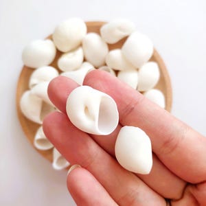 Può includere: Primo piano di una mano che tiene due conchiglie bianche. Le conchiglie sono lisce e hanno una leggera lucentezza iridescente. Le conchiglie sono circondate da un mucchio di altre conchiglie bianche in una ciotola di legno.