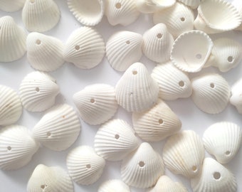 SEASHELLS WITH HOLES, Small Drilled Shells with Holes, Natural Spiral Shell Beads, Drilled Seashells, Shell Bead, Small Shell Bead 15-30mm