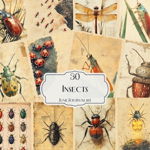 Kit per diario di 30 insetti, pagine stampabili di effimeri insetti, carta per album di entomologia vintage, fogli per collage di coleotteri e farfalle, arte degli insetti
