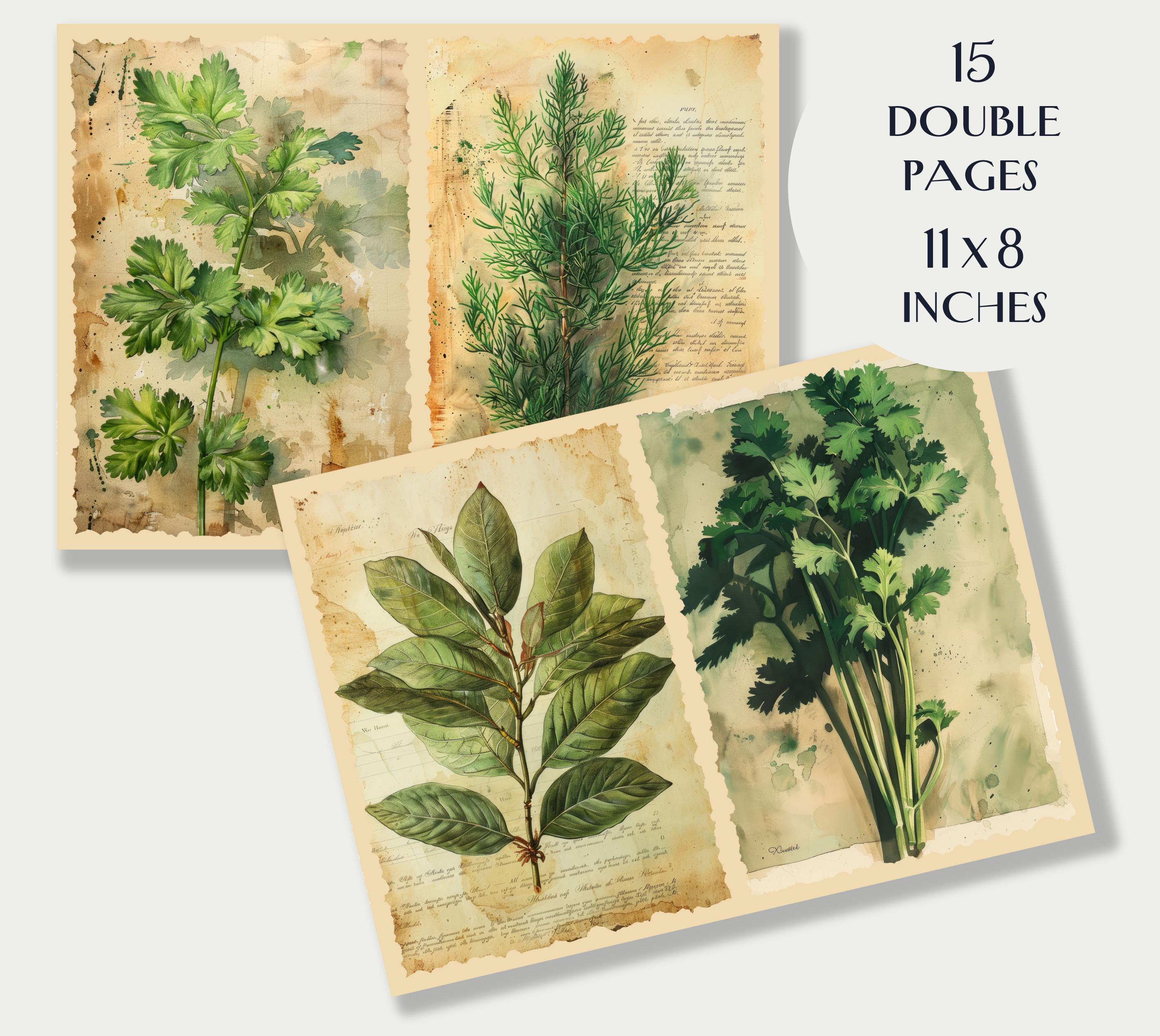 30 Herbs Junk Journal Kit, Vintage Botanical Printables, Herb Ephemera ...