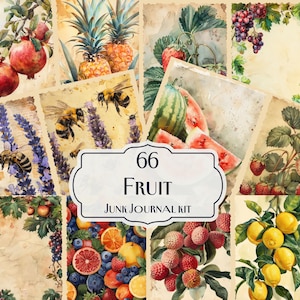 Kit diario di frutta vintage, arte di frutta vintage, diario di frutta estivo, frutta Shabby Chic, effimeri di frutta, carta stampabile