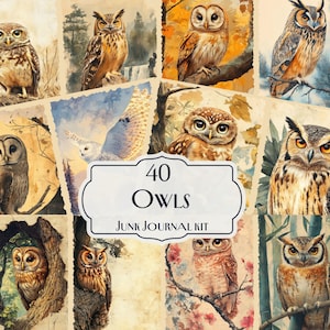Kit de 40 carnets de voyage hiboux, papiers numériques hiboux vintage, éphémères d'oiseaux des bois, kit de scrapbooking imprimable, décor de forêt mystique