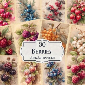 30 bessen-junkjournaalkit, fruitige plant-junkdagboek, botanische ephemera, tuincollagevellen, bessen plakboekpapier