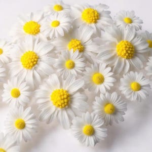 Edible White Daisies Fondant Sugarpaste Flowers Cupcake Toppers Cake Decorations , Large, small, mixed