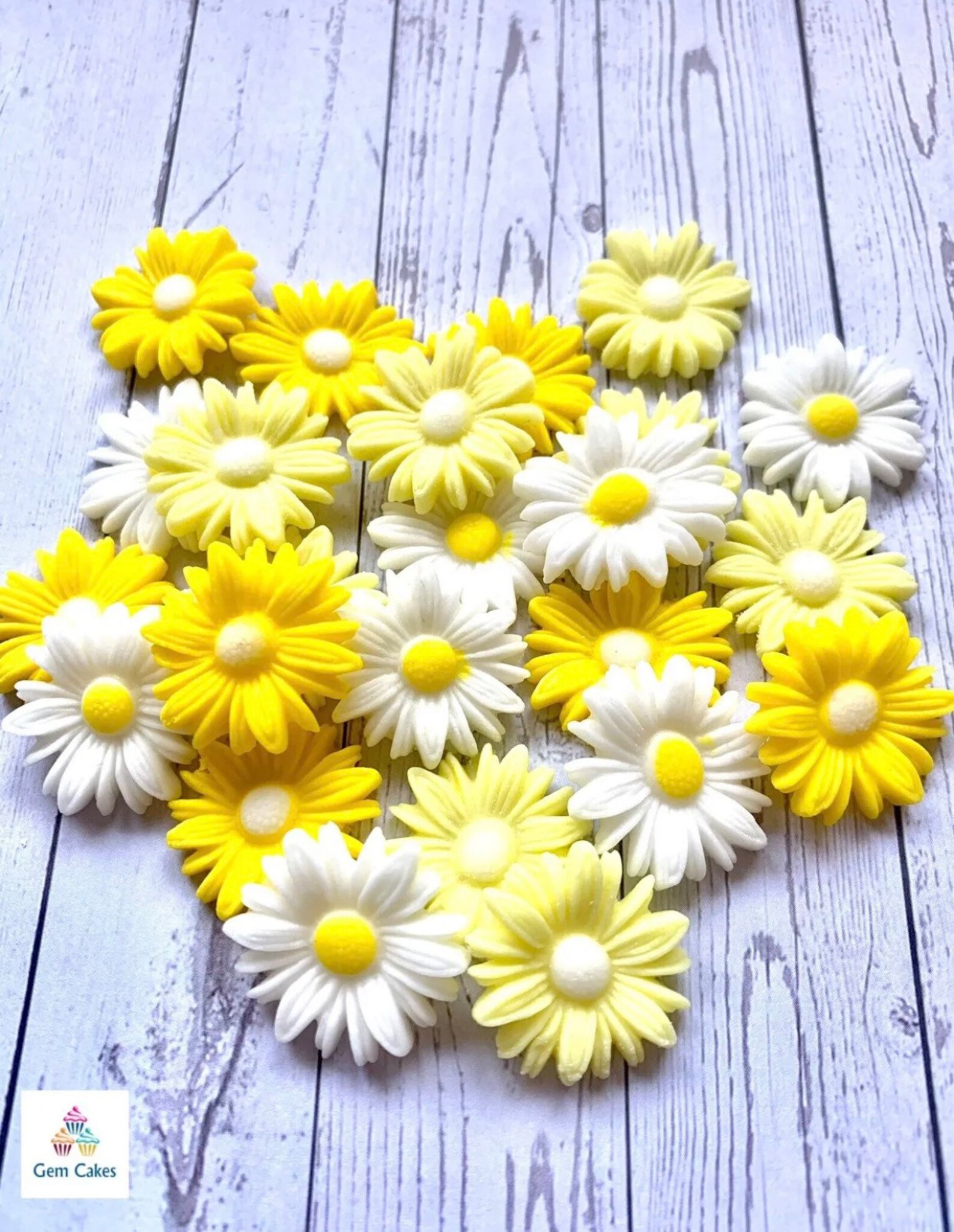 Cool Review About Yellow And White Daisy