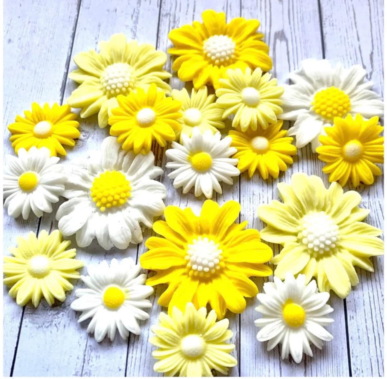 Cool Review About Yellow And White Daisy