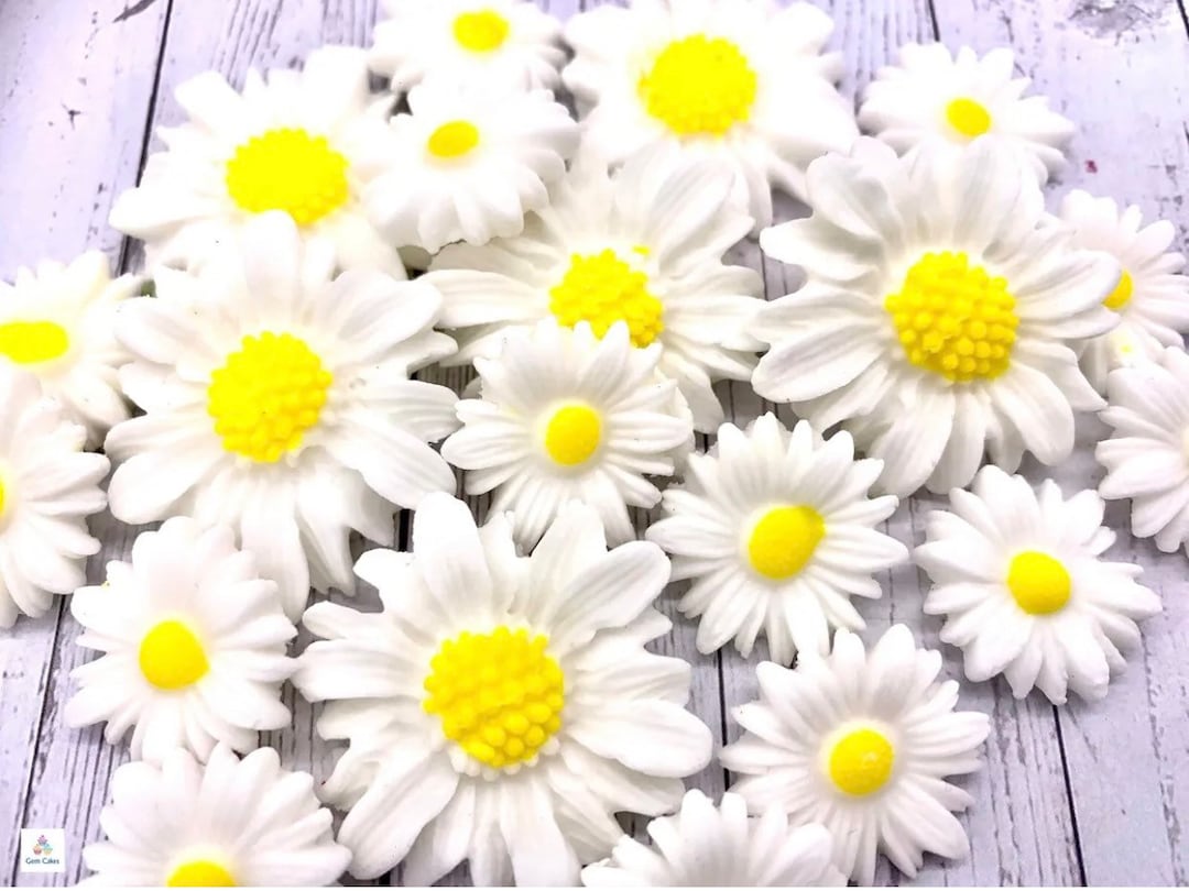 Lot De 3 Moules à Fleurs En Plastique Pour Pâte à Sucre (gumpaste) - Grand Format - Neuf