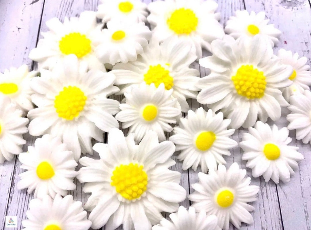 Small White Daisies - 240 pcs Edible Decorations main image 0