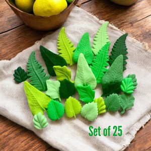 Edible Jungle Leaves Cake Toppers, Fondant Dinosaur Party Decorations image 3
