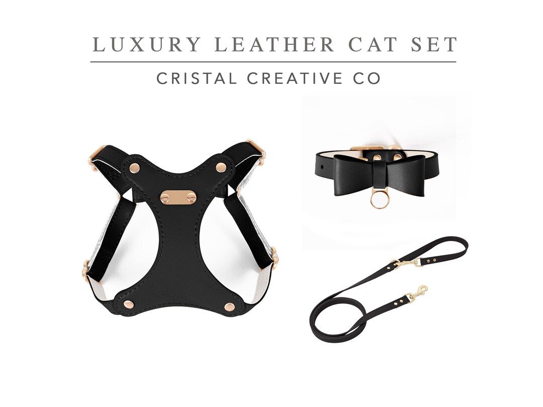 Personalized Leather Cat Harness Custom Small Dog Collar Bow Etsy