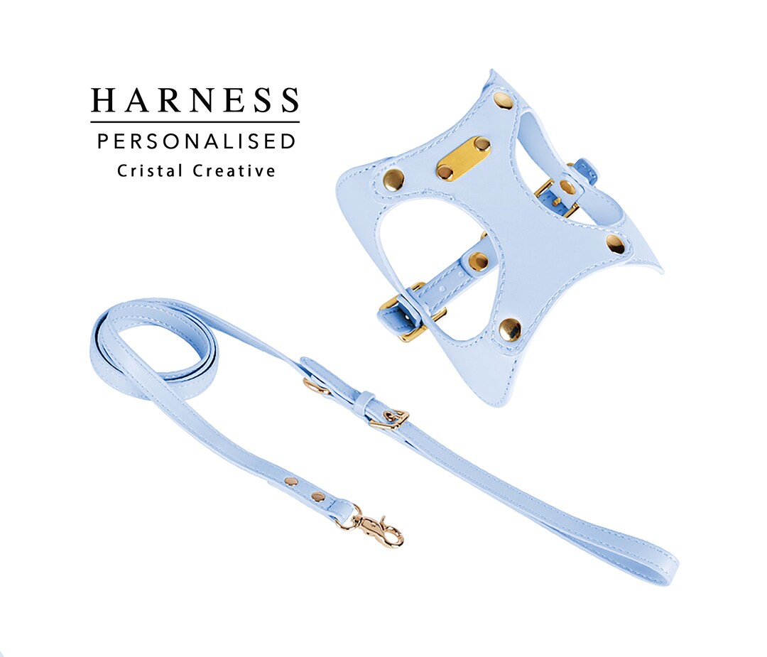 Personalized Leather Cat Harness and Leash Setcustom Small Etsy