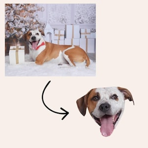 May include: A happy dog with brown and white fur wearing a red bow tie, lying on a white rug in front of a Christmas tree and wrapped gifts. The dog is smiling with its tongue out.
