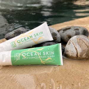 Może przedstawiać: Dwa tuby produkt&oacute;w do pielęgnacji sk&oacute;ry Ocean Skin Kelp Concentrate. Jeden tub jest zielony i zawiera napis "Ocean Skin Kelp Concentrate Serum". Drugi tub jest biały i zawiera napis "Ocean Skin Kelp Concentrate Cream".