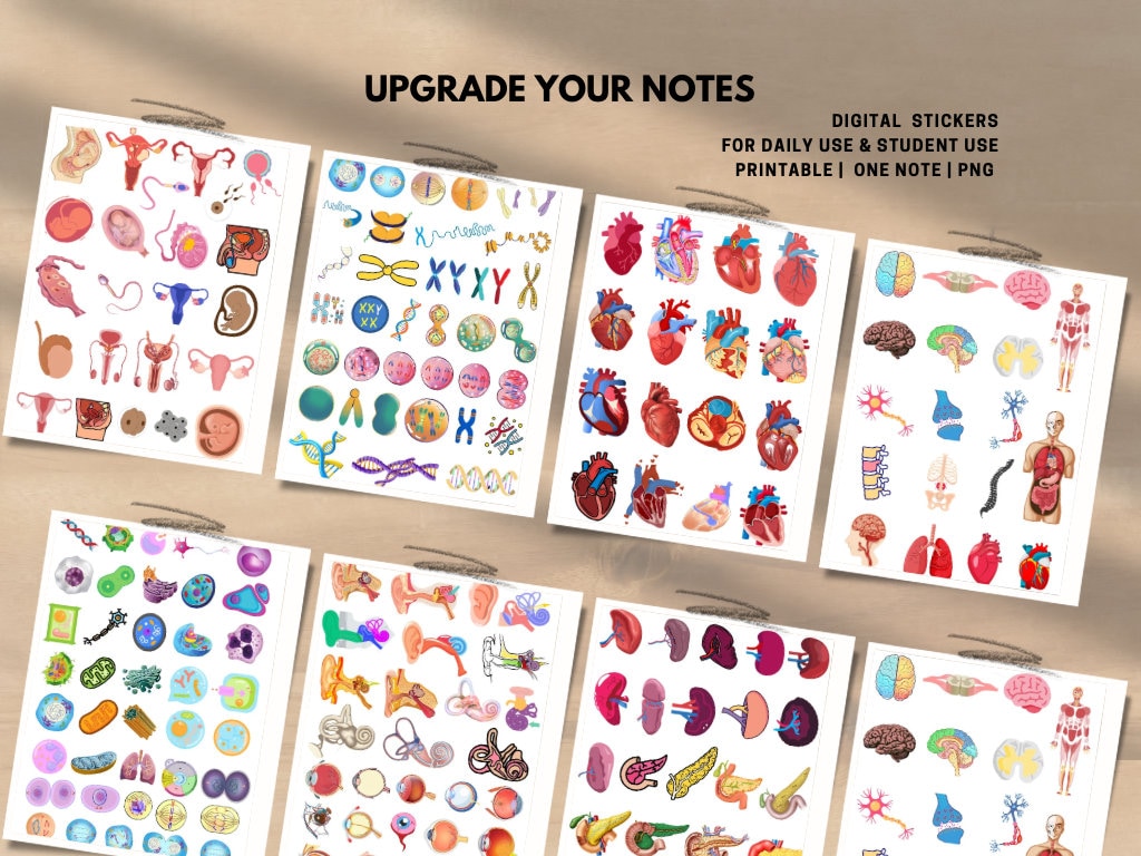 Anatomy Biology Digital Stickers , Precropped Human Body Stickers