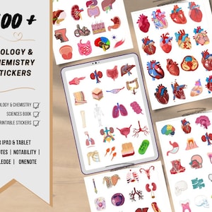 Anatomy biology digital stickers , Pre-cropped Human Body Stickers , anatomy Digital stickers , Goodnotes stickers , anatomy stickers pack