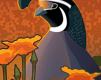 California Quail with Poppies Art Print