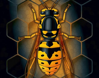 avispa amarilla