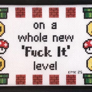 Puede incluir: Obra de arte de punto de cruz enmarcada con temática de videojuego. El diseño incluye imágenes pixeladas de monedas, champiñones y tuberías verdes, con el texto "on a whole new 'Fuck It' level".
