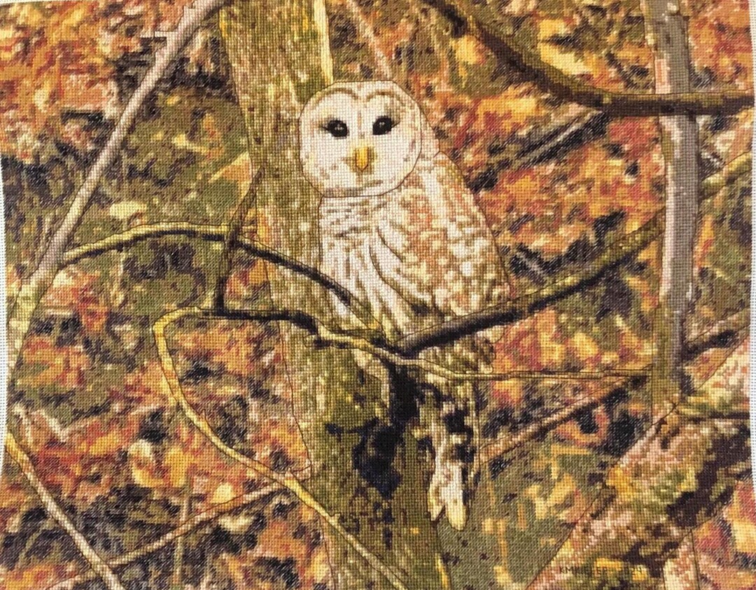 Northern Barred Owl. an Autumn Bird Lovers Cross Stitch Pattern in PDF ...