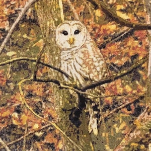 May include: A white and brown owl perched on a branch in a camouflage pattern background. The owl has yellow eyes and a white face.