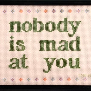 May include: Cross-stitch artwork in a black frame. The piece features the phrase "nobody is mad at you" in green letters on a light pink background. The border is decorated with small cross-stitch flowers in various colors.
