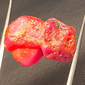 May include: A raw, unpolished ruby gemstone with a vibrant, saturated red colour and an irregular, organic shape. The stone features a textured, crystalline surface with subtle variations in tone and small dark inclusions, held by metal tweezers.