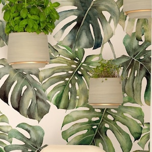 Jungle Wallpaper Peel and Stick | Fun Green Wallpaper for Kitchen | Modern Monstera Plant Traditional Non-Woven Wallpaper | JL05
