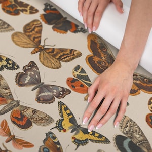 Bugs & Insects Wallpaper Peel and Stick | Fun Beige Wallpaper for Living Room | Vintage Butterfly Traditional Non-Woven Wallpaper | BF14
