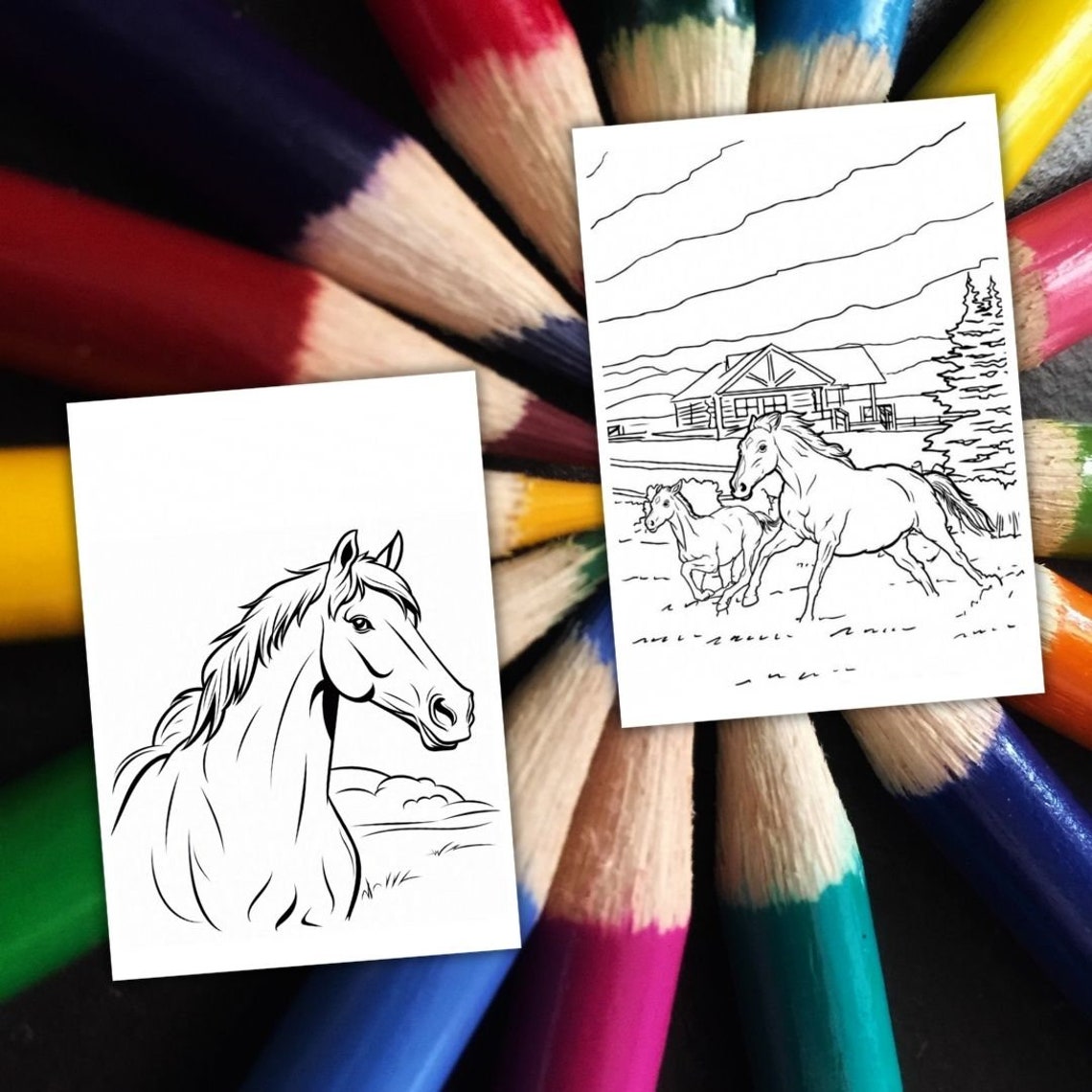 50 HORSES Coloring Pages. Cartoon Coloring Book for Kids. Printable