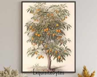 Vintage Orange Tree Illustration, Botanical Art, Rustic Home Decor, Printable Wall Art, Tree #18