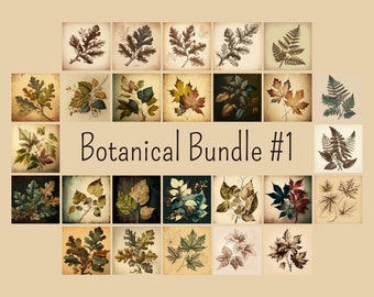 Vintage Tree Leaves Artwork Bundle, Rustic Wall Decor, Printable Art, Gift, Illustration Book, Embroidery Patterns, Botanical Bundle #1