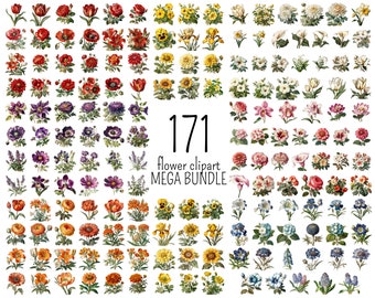Flower Clipart Mega Bundle, 171 Vintage Flower PNG Paintings Set, Floral Cards, Invitations, Embroidery, Illustration Book, Mega Bundle #1