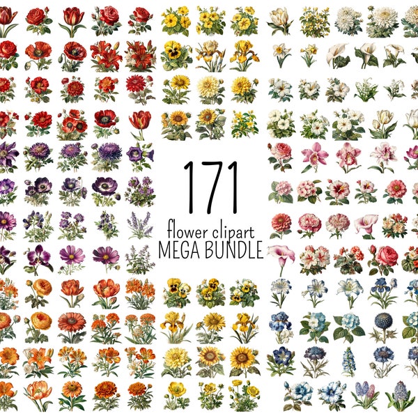 Flower Clipart Mega Bundle, 171 Vintage Flower PNG Paintings Set, Floral Cards, Invitations, Embroidery, Illustration Book, Mega Bundle #1